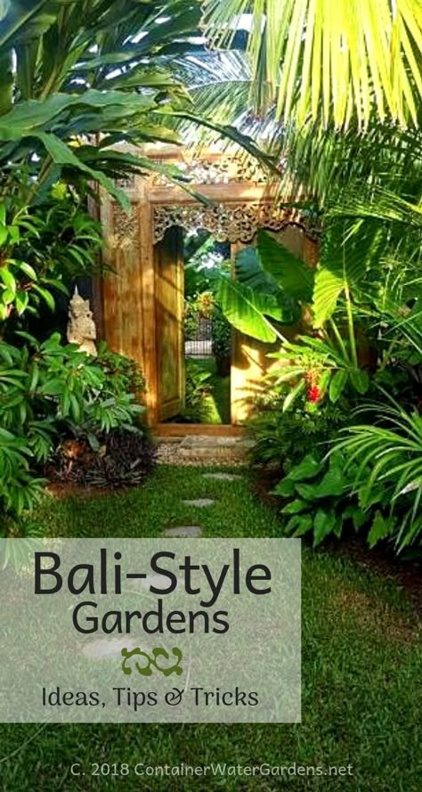 Tropical Backyard Landscaping, Small Tropical Gardens, Bali Garden, Balinese Garden, Tropical Landscape Design, Container Water Gardens, Balinese Style, Funny Vine, Tropical Garden Design