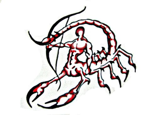 scorpio sagittarious | Scorpio Sagittarius Combo2 by Silencer171 Scorpio Images, Sagittarius Tattoos, Scorpio And Sagittarius, Scorpio Sagittarius Cusp, Scorpio Zodiac Tattoos, Sagittarius Tattoo Designs, Aquarius Constellation Tattoo, Virgo Constellation Tattoo, Sagittarius Art