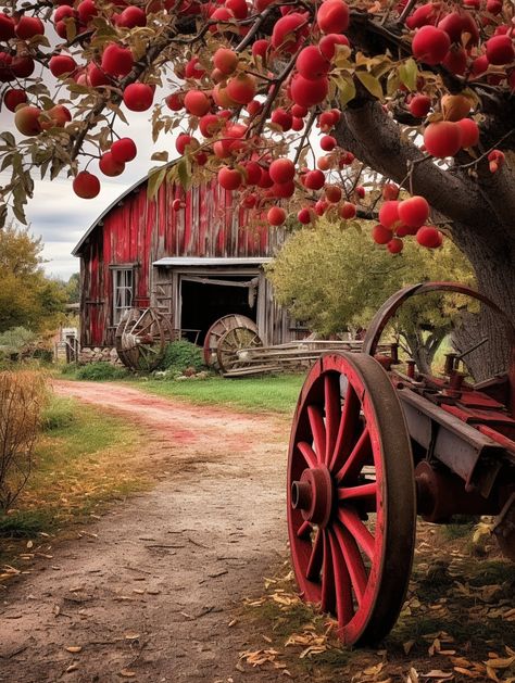 Apple Orchard with Red Barn by DesignedByBethWalker on Etsy Farm Aesthetic House, Apple Orchard House, Fall List Of Things To Do, Fall Scenery Autumn Scenes, Apple Orchard Wallpaper, Apple Orchard Fall Aesthetic, Cottage Core Fall, Apple Orchard Farmhouse, Apple Orchard Fall