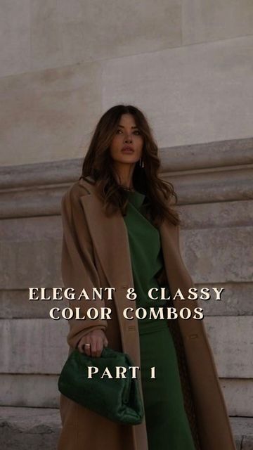 Elegant Color Combinations Classy, Elegant Color Combinations Outfit, Classy Colour Combination, Elegant Colour Combinations, Colour Combination That Look Expensive, Rich Colour Combination Outfit, Rich Color Combination Outfits, Classy Color Combinations, Expensive Color Combination Outfit