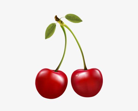 Cherry Pictures, Cherry Png, Cherry Illustration, Cherry Images, Cherry Drawing, Cherry Festival, Minimalist Tattoo Ideas, Cherry Tattoos, Ganesh Art Paintings