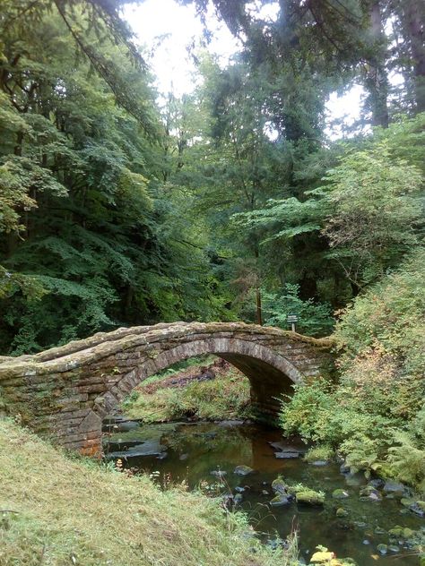 Stone Bridge Over River, Stone Bridges Over Creeks, Small Bridges Over Creek, Bridge Reference, River With Bridge, Pond With Bridge, Bridge Over Pond, Bridge Over Creek, Bridge Over Stream