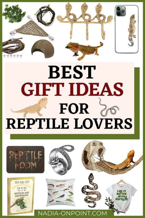 Best Gifts for Reptile Lovers Gifts For Reptile Lovers, Snake Gift, Gifts For Animal Lovers, Frugal Christmas, Reptile Room, Last Minute Birthday Gifts, Non Toy Gifts, Best Gift Ideas, Presents For Kids