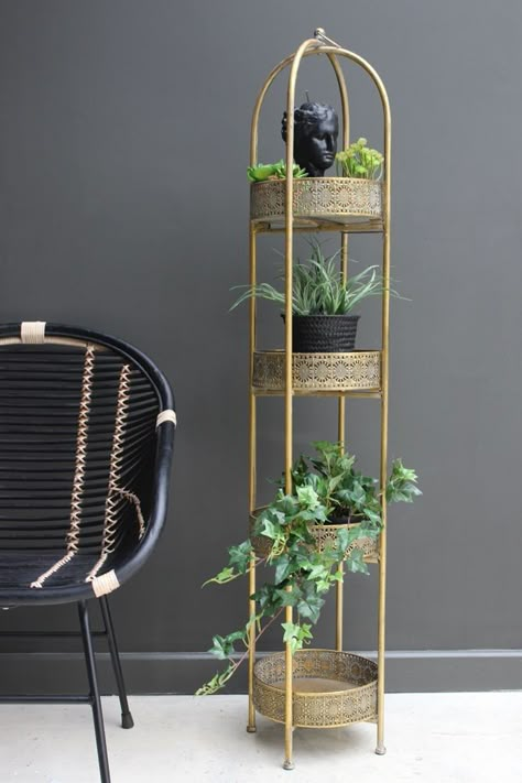 Witchy Bathroom Ideas, Organize Seeds, Black Rattan Chair, Emerald Green Colour, Decorating Bathrooms, Tall Shelves, Bathroom Accessories Luxury, Shelf Furniture, Rockett St George