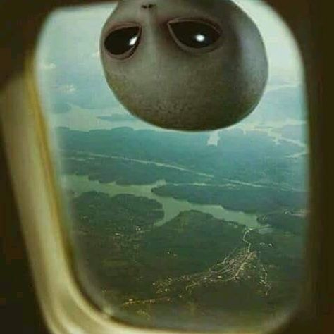 #monday #week #alien #flight #window #nothingtoseehere #outtaspace #galaxy #ibelieve #xfiles #head #life #love Alien Pictures, Ufo Art, Alien Artwork, Alien Drawings, Art Alien, Grey Alien, Alien Aesthetic, Arte Alien, Random Items