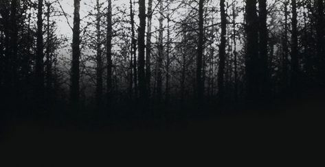 Scary Movie Trailers, The Blair Witch Project, Bell Witch, Witch Wallpaper, 2k Wallpaper, Blair Witch Project, Blair Witch, Noir Movie, Haunted Forest