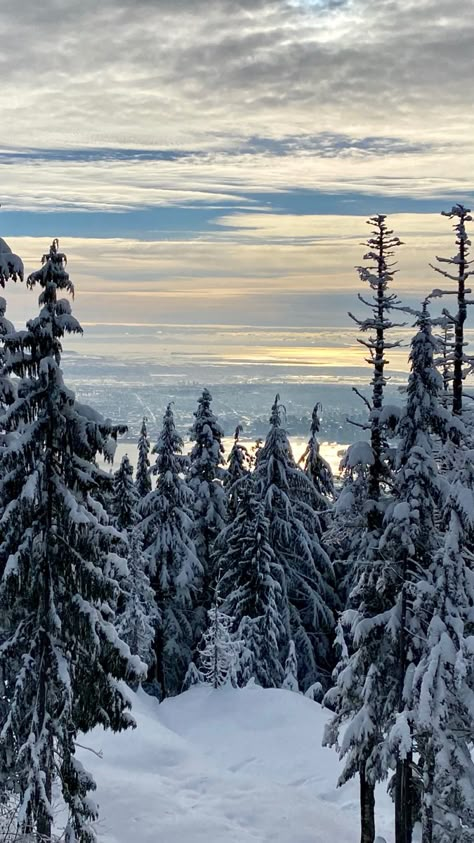 Partly cloudy sky. Sunset. Looking over Vancouver at the top of a mountain. Many trees covered in snow. Winter In Vancouver, Snowing Aesthetic Wallpaper, Aesthetic Skyline, Top Of Mountain, Canada Mountains, Canada Snow, Sunset Trees, Snow Aesthetic, Mountain Aesthetic