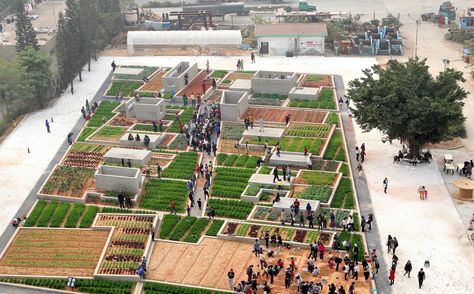 Gallery of Value Farm / Thomas Chung - 2 Agriculture Projects, Landscape And Urbanism Architecture, Farm Pictures, Vertical Farming, Eco Architecture, Urban Agriculture, City Farm, Landscape And Urbanism, Frank Gehry