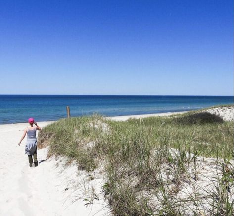 Follow A Sandy Path To The Waterfront When You Visit Sandy Neck Beach In Massachusetts Beach Grass, Walking Paths, Nature Preserve, Beaches In The World, Nature Trail, Day At The Beach, Cape Cod, Hiking Trails, Beautiful Views