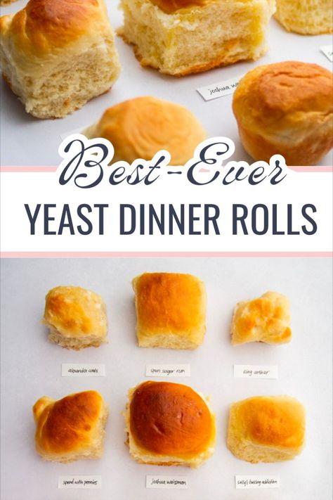 Looking for the best homemade yeast dinner roll for your next family gathering or Thanksgiving? We tested 9 different recipes in search of the most soft and fluffy dinner rolls. Best Yeast Rolls, Best Dinner Rolls, Pancake Princess, Simple Holiday Cookie Recipes, Dinner Roll Recipe, Homemade Yeast, No Yeast Dinner Rolls, Easy Holiday Cookies, Baking For Beginners