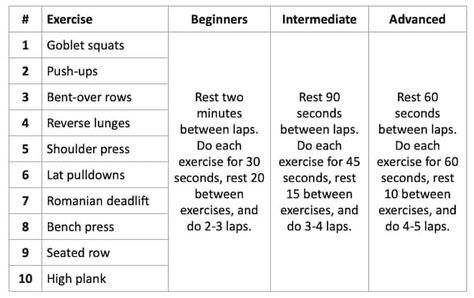 Metabolic Strength Training Over 50: Benefits, Exercises, Workout Exercise Over 50, Metabolic Resistance Training Workouts, Metabolic Resistance Training, Mens Body Types, Elhers Danlos Syndrome, Resistance Training Workouts, Strength And Conditioning Workouts, Math Exercises, Build Muscle Mass