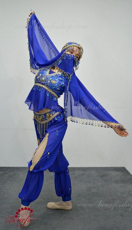 Catalogue - Home - Benefis Veiled Girl, Aladdin Costume, Nutcracker Costumes, Arabian Dress, Belly Dance Dress, Belly Dance Outfit, Dancers Outfit, Dance Outfit, Female Pose Reference