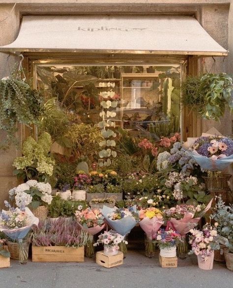 Korean Flower Shop, Aesthetic Flower Shop, Flower Shop Aesthetic, A Bunch Of Flowers, Nothing But Flowers, Flower Therapy, Spring Aesthetic, Bunch Of Flowers, Pretty Places