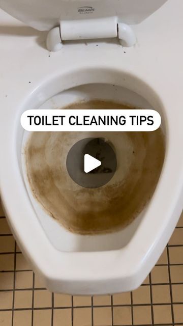 Kellsie Zapata | Cleaning Tutorials & Motivation on Instagram: "Let me share with you a few tips to keep in mind the next time you clean a toilet. While there are plenty of toilet bowl cleaners to choose from, if you struggle with tough toilet stains like lime scale or hard water stains and even mineral deposits, use a toilet bowl cleaner that targets explicitly this build-up. There are two I suggest. Bar Keepers Friend toilet bowl cleaner & Lysol Lime & Rust toilet bowl cleaner. 

Your toilet bowl brush should have a head shape to reach all areas of the bowl and bristles that are enough to scrub but not flick toilet water. Be sure to rinse the brush in fresh water after every use. If you still have a bit of a water line in your toilet, follow up with a heavy-duty scouring stick. (Amazon/W Clean Toilet Bowl Stains, Toilet Bowl Stains, Toilet Cleaning Hacks, Toilet Stains, Cottagecore Kitchen, Toilet Bowl Cleaners, Clean Toilet Bowl, Toilet Bowl Brush, Easy Cleaning Hacks