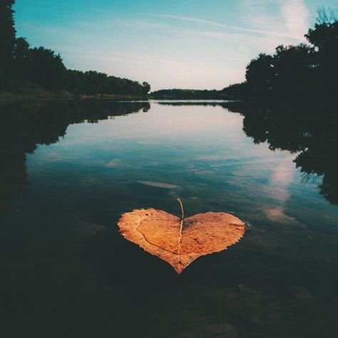 Anyone else love Fall as much as I do?. Pictures In Nature, Beautiful Heart Pictures, Heart Shaped Leaf, On The Wings Of Love, Heart In Nature, Image Nature, I Love Heart, Heart Images, Heart Pictures