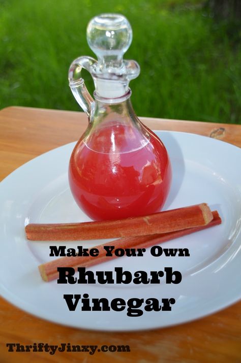 Have an abundance of rhubarb that you need to find some delicious recipes for? Here are some simple and easy rhubarb recipes for spring! Keto Ruhbarb, Rhubarb Vinegar, Easy Rhubarb Recipes, Rhubarb Crisp Recipe, Rhubarb Wine, Rhubarb Juice, Recipes For Spring, Infused Vinegars, Rhubarb Syrup