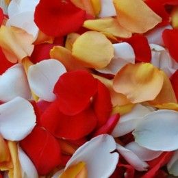 Many uses of Rose Petals. Diy Fall Wedding, Fresh Rose Petals, Rose Petals Wedding, Wholesale Roses, White Petals, Wedding Elements, Wedding Budget, Orange Creamsicle, Outdoor Wedding Reception