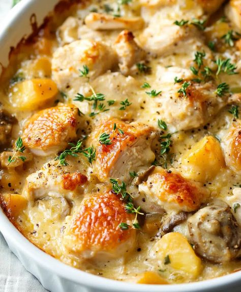 French Chicken Casserole Recipe - elianarecipes.com French Baked Chicken, Traditional French Dishes, Chicken Francaise Recipe Easy, Chicken Fricassee Recipe, Chicken French Recipes, Chicken Thigh Casserole Recipes, Chicken Fricot, Authentic French Recipes, French Chicken Casserole