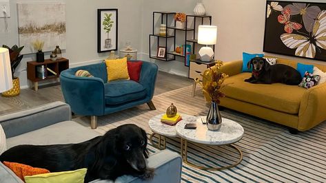 Living rent free and comfy Dog Living Room, Pet Rooms, Mini Sala, Mustard Sofa, Pink Velvet Couch, Atlanta Condo, Bright Paint Colors, Pet Room, Cat Bedroom