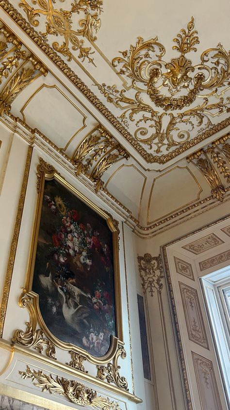 Versailles France DC mansion inspiration ceiling gold trim blooms flowers floral arrangement aesthetic Gold Moulding On Walls, Royal Aesthetic, Gold Aesthetic, Floral Drawing, Gold Decor, Rococo, Versailles, Gold Details, Indoor Decor