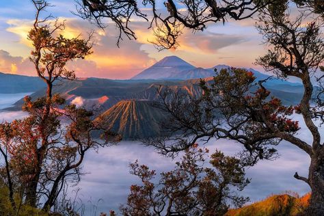 Mt Bromo, Frame Photography, View Point, Cute Desktop Wallpaper, Travel Pics, Travel Nature, In Frame, Most Favorite, Amazing Places