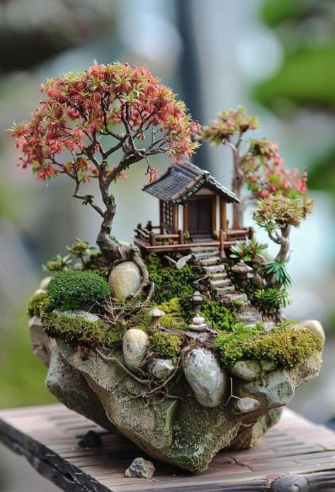 Miniature Garden Design, Rock Garden Ideas, Prayer Garden, Small Garden Ideas, Fairy House Crafts, Dreamy Garden, Beautiful Terrariums, Tiny Garden, Fairy Garden Designs