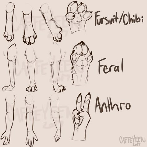 Four Legged Creature, Creature Poses, Paw Drawing, Cat Drawing Tutorial, Anchor Tattoo, Anchor Design, Concept Art Drawing, No Rules, Creature Concept Art