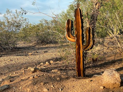 Flawed Discounted Rustic Saguaro Cactus Metal Yard Art Desert - Etsy Canada Cactus Yard Art, Cactus Yard, Adobe Design, Rainbow Metal, Small Cactus, Front Yard Ideas, Southwest Decor, Metal Yard Art, Metal Garden Art