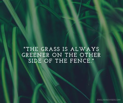 The Grass Is Always Greener On The Other Side, Pakistani Pants, English Proverbs, Ali Boxing, Ancient Egypt Pyramids, Grass Is Always Greener, Muhammad Ali Boxing, Egypt Pyramids, Never Satisfied