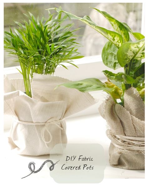 DIY fabric covered potted plants                                                                                                                                                                                 More Pot Diy, Plant Pot Diy, Plant Pot Covers, Plastic Plant Pots, Diy Flower Pots, Plant Covers, Plants Decor, Diy Pots, Small Potted Plants