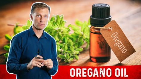 14 Amazing Benefits of Oregano Oil | Dr.Berg Blog Wild Oregano Oil Benefits, Organic Oregano Oil, Benefits Of Oregano, Wild Oregano, Tunnel Books, Oil Of Oregano, Oregano Oil Benefits, Oregano Plant, Palmer College Of Chiropractic