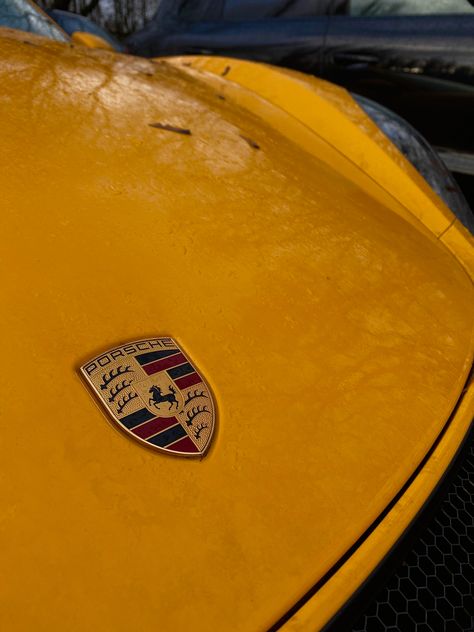 Yellow Cars Aesthetic, Yellow Porsche, Porsche Girl, Porsche Carrera Gt, Brand Aesthetic, Yellow Car, Car Logo, Yellow Aesthetic, Car Logos