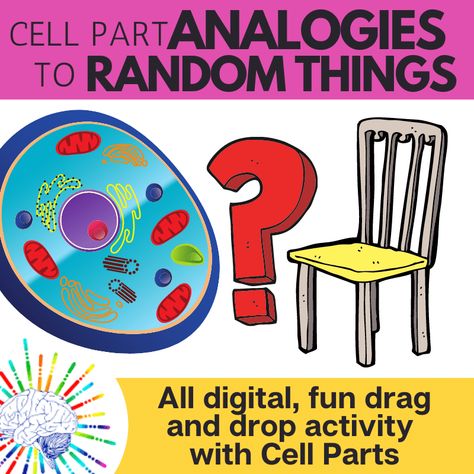 Cell Organelle Activity - Making Analogies to Random Things Analogies Activities, Cell Membrane Transport, 6th Grade Science Projects, Cell Analogy, Evolution Activities, Cell Video, Cell Parts, Thumb Tack, Random Object