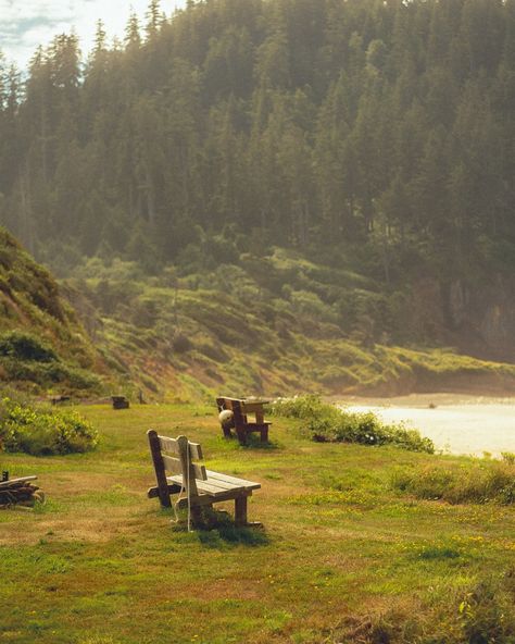 The Beauty of the PNW 🤯 #pacificnorthwest #oregon #oregoncoast #photographer #photography Port Orford Oregon, West Linn Oregon, Oregon Aesthetic, Oregon Pictures, Aesthetic Scenery, Save File, Aesthetic Board, Home Aesthetic, Oregon Coast