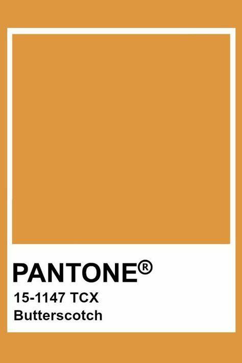 Butterscotch Color Aesthetic, Butterscotch Color Palette, Butterscotch Aesthetic, Pantone Caramel, Pantone Orange, Pantone Tcx, Butterscotch Color, Yellow Pantone, Palettes Color