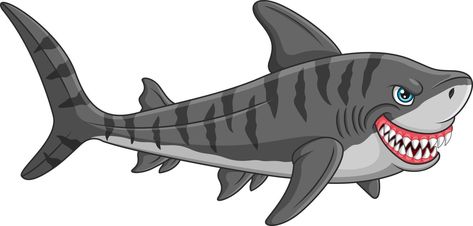 tiburón tigre de dibujos animados sobre fondo blanco Tiger Shark Drawing, Shark Clipart, Marcel The Shell, Shark Pictures, Shark Drawing, Cartoon Tiger, Dinosaur Images, Sharks Funny, Tiger Shark