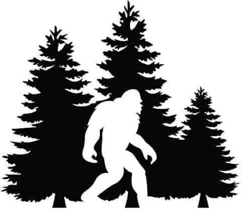 Camper Decals, Bigfoot Art, Camper Decor, Patterned Vinyl, Camping Fun, Tree Forest, Vinyl Projects, Window Wall, Vinyl Lettering