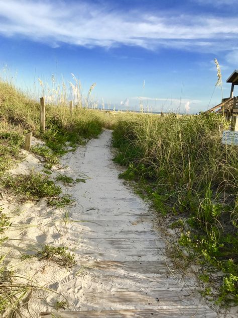 Dauphin Island, Alabama #iphonephotography Dolphin Island Alabama, Dauphin Island Alabama, Dauphin Island, Pretty Nature, Orange Beach, Iphone Photography, Beach Vibes, Island Life, Beach Vibe