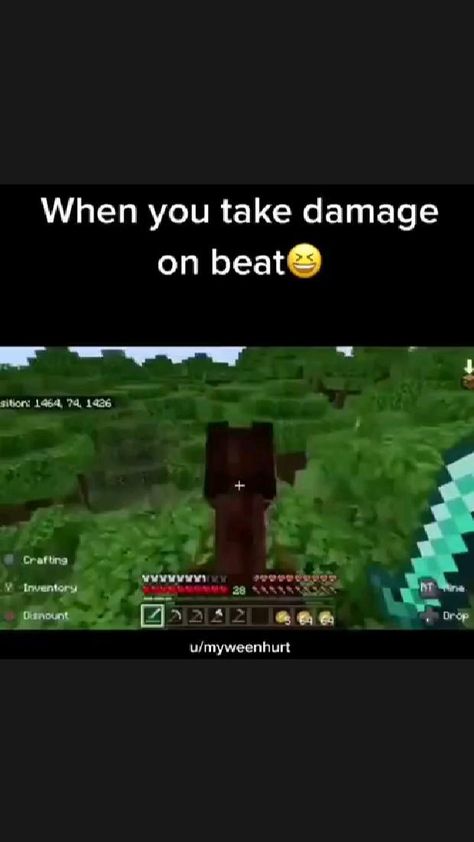 Funny Gaming Videos, Minecraft Jokes, Funny Minecraft Videos, Mc Video, Minecraft Videos, Minecraft Funny, Minecraft Memes, How To Play Minecraft, Gamer Humor