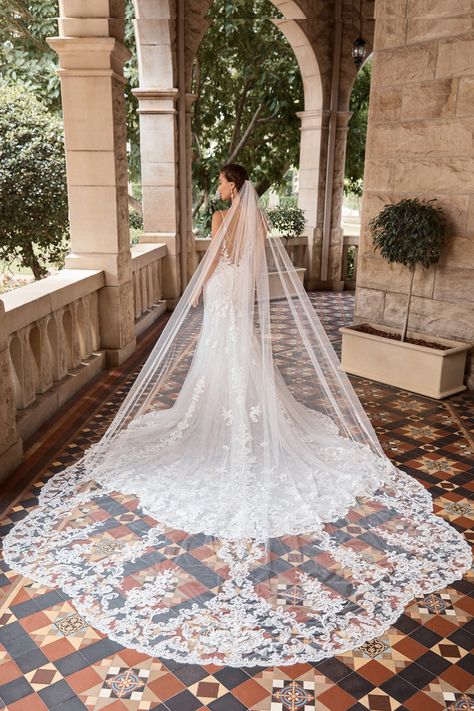 Bridal Dresses | Sophia Tolli Mantilla Veil Wedding, Soft Tulle Veil, Mexican Wedding Dress, Sophia Tolli, Wedding Veil Accessories, Pretty Wedding Dresses, Tulle Veils, Dream Wedding Ideas Dresses, Evening Dresses For Weddings