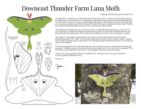 The Lovely Luna Moth | Downeast Thunder Farm Free Moth Pattern, Luna Moth Template, Felt Moth Pattern, Luna Moth Pattern, Felt Luna Moth, Fabric Moth Pattern Free, Fabric Moth Diy, Felt Ornaments Patterns, Cute Sewing Projects