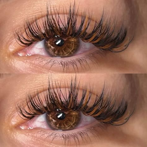 Chunky Wispy Lashes, Long Wet Lash Look, Winter Lash Extensions, Classics With Spikes Lashes, Long Wet Set Lash Extensions, Brown And Black Eyelash Extensions, Unique Lash Extensions, Classic Lashes With Spikes, Brown Wet Set Lashes