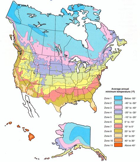 Plant Hardiness Zone Map for North America Growing Zones Map, Perennial Ground Cover, Plant Hardiness Zone Map, Plant Zones, Gardening Zones, Zone 9, Greenhouse Growing, Backyard Camping, Backyard Inspo