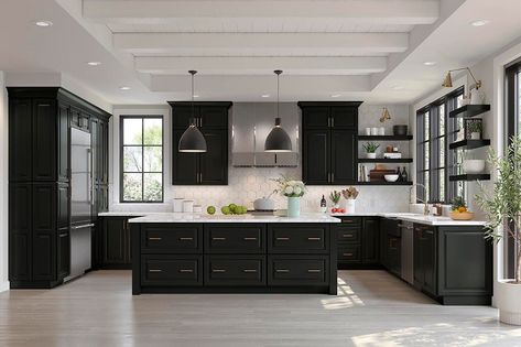 : Explore our wide range of black kitchen cabinet options, from modern to traditional styles. #kitchencabinets #blackcabinets Dark Cabinets Light Counters, Black Shaker Cabinets, All Black Kitchen, Cabinet Samples, Kitchen Cabinet Samples, Modern Apartment Living Room, Maple Kitchen Cabinets, Maple Kitchen, Black Kitchen Island