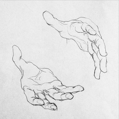 Line Study Art, Hands Holding Something Drawing, Hand References, Hands Reference, Hand Poses, Draw Hands, Hand Drawing Reference, 캐릭터 드로잉, Arte Sketchbook