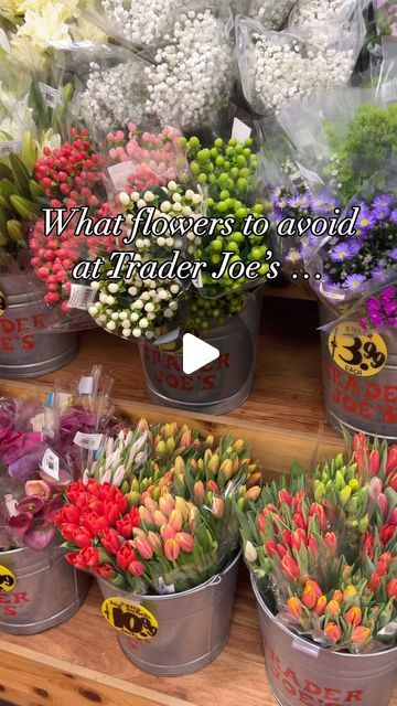 Michele Strauts on Instagram: "I still love Trader Joe’s flowers but from now on if they aren’t wrapped in clear cellophane where I can see the stems, then I won’t be buying them … no more mixed bouquets for me 😳" Diy Trader Joes Flower Bouquet, Trader Joe’s Diy Flowers, Trader Joes Flower Bouquets, Trader Joes Bouquets, Trader Joes Bouquet Diy, Trader Joe’s Bouquet, Trader Joe’s Flowers, Trader Joes Flower Arrangements, Trader Joe Flowers