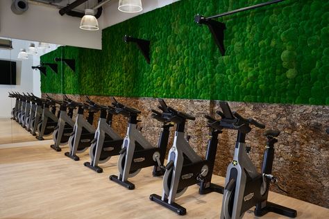 This forest-inspired gym space we installed for a corporate client creates a sense of calm and serenity in a busy and polluted Central London location. We installed a forest scene mural on the main gym wall and a unique green/living wall in the fitness studio as they trap pollutants and purify the air. The living wall is made-up of green moss and creates its own micro-climate which not only encourages plant growth but also makes a stunning feature. Wall Fitness, Wall Gym, Micro Climate, Gym Space, Gym Wall, Moss Wall, Gym Design, Health Club, Living Wall