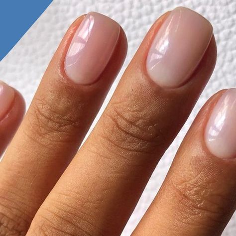 Milk Nails Are Quickly Becoming the Biggest Celebrity Manicure Trend of 2023 | Glamour Jennifer Aniston Nails, Milk Nails, Romantic Updos, Milky Nails, Toe Nail Color, Nude Nail, Damaged Nails, Nails Prom, Nail Idea