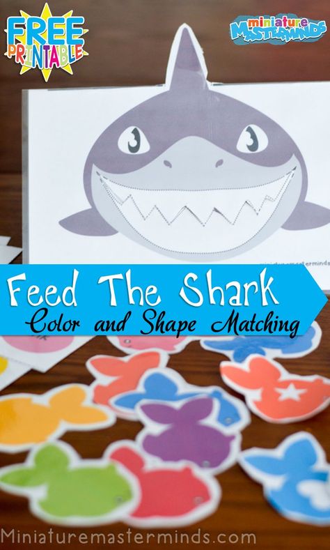 Feed The Shark Colors And Shapes Matching Activity For Preschoolers and Toddlers Ocean Math Activities For Toddlers, Feed The Shark Game, Matching Activity For Preschoolers, Feed The Shark, Preschool Ocean, Shapes Matching, Ocean Theme Preschool, Activity For Preschoolers, Preschool Workbooks