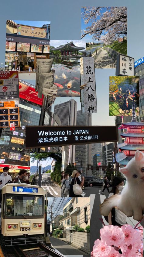 Adorable Backgrounds, Akihabara Japan, Japan Moodboard, Travel Manifestation, China Aesthetic, Japan School, Travel Collage, Japan Tour, Insta Story Ideas